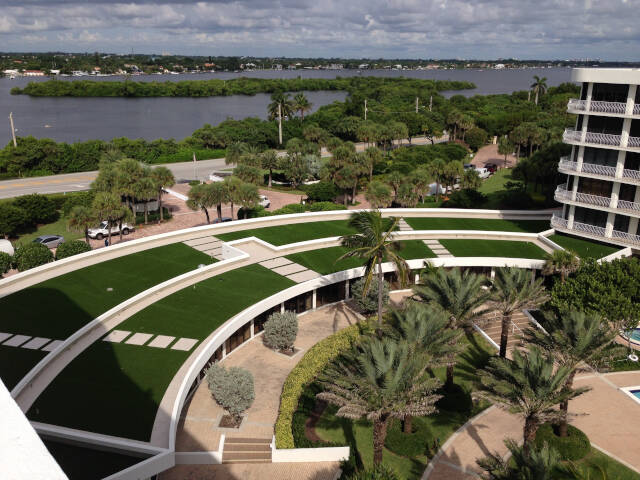 Augusta commercial landscape turf
