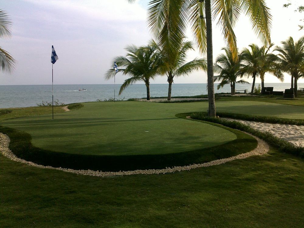 Augusta artificial grass landscaping