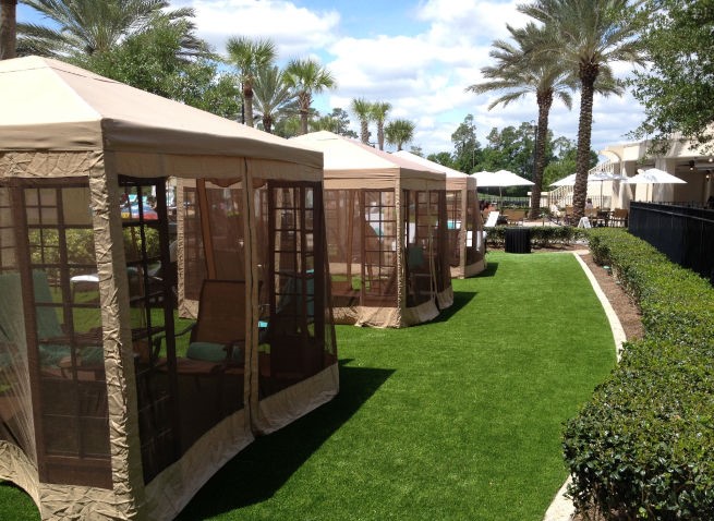 Augusta commercial landscape turf